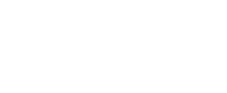 Arcade Archives QIX