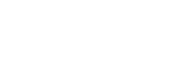 The Bat D
