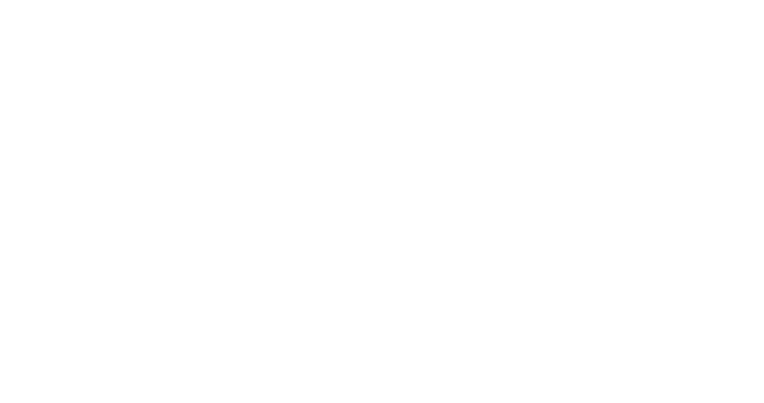 Midnight Fight Express