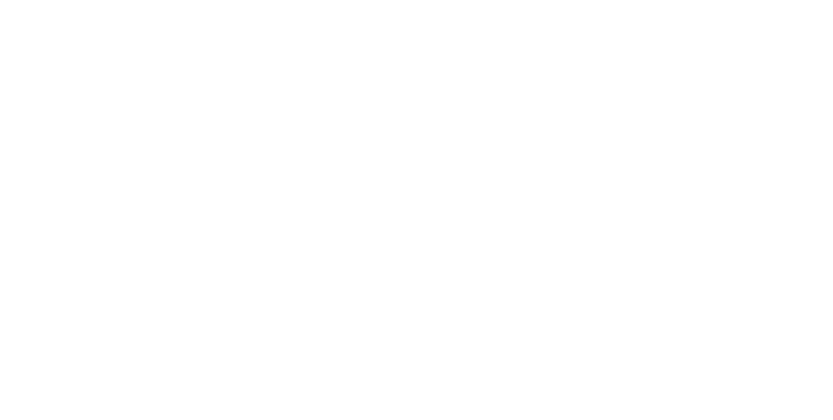 Hollow Knight: Silksong