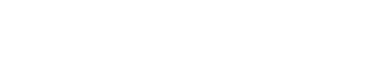 The Inquisitor