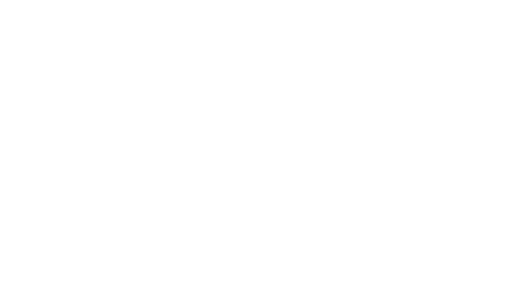 Opus Castle
