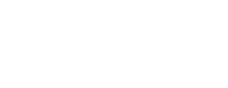 SIGNALIS