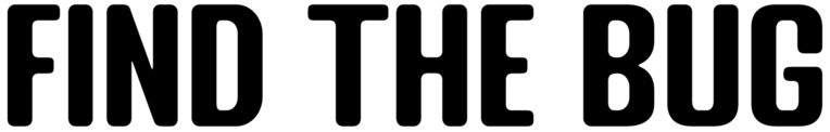 Find the Bug