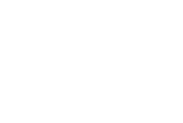 STAR WARS Jedi: Survivor™