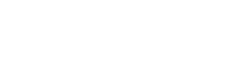 Hidden Paws Mystery