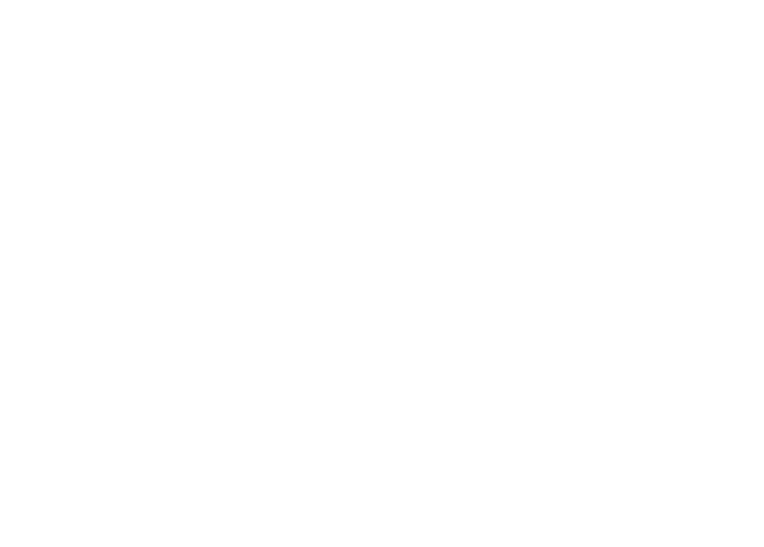 Orbital Bullet