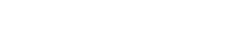 Storyblocks: The King