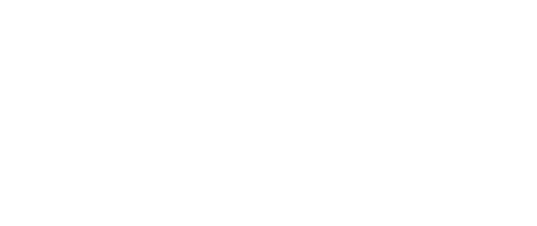 Bear and Breakfast