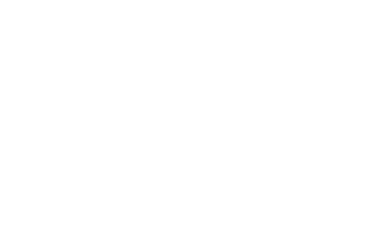 The Texas Chain Saw Massacre