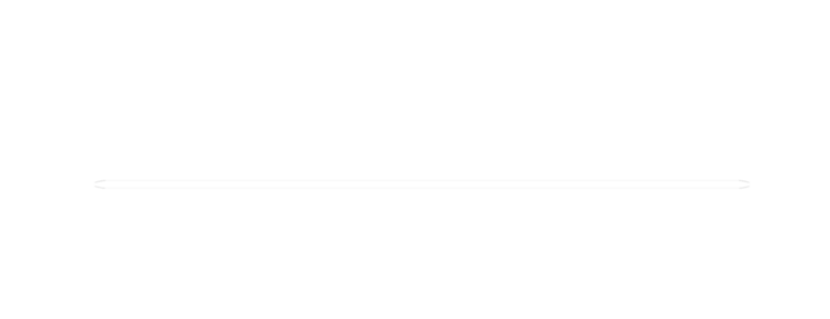 DETECTIVE - Stella Porta case