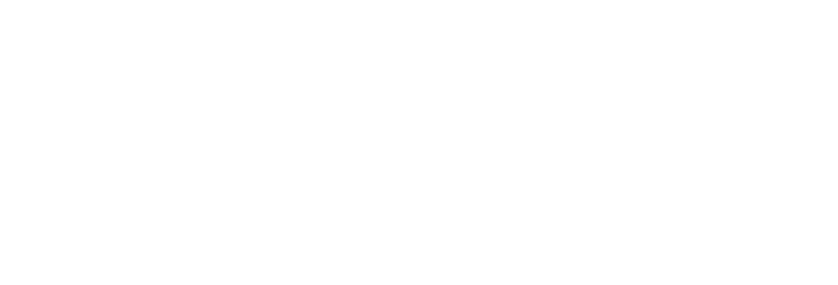 Santa's Speedy Quest