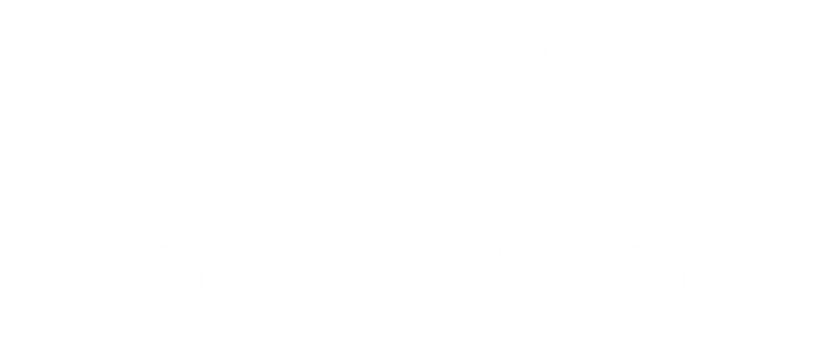 Cazzarion: Coin Pilot