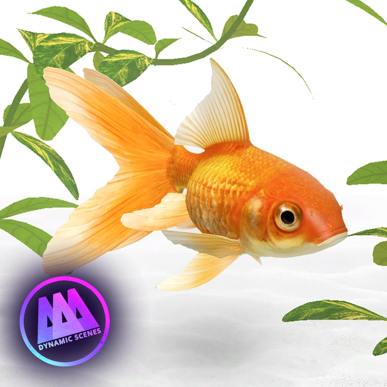Golden Fish Aquarium Dynamic Scene