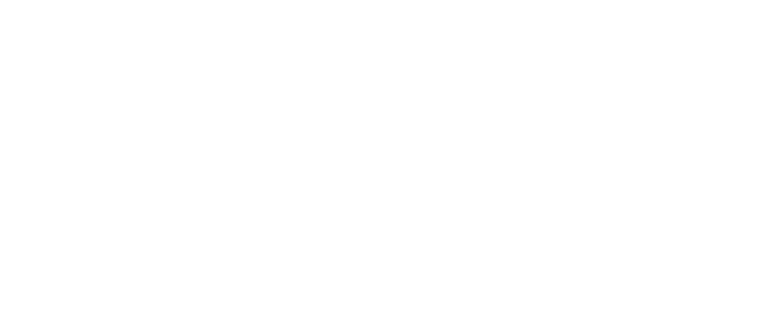 O.W.L Projekt