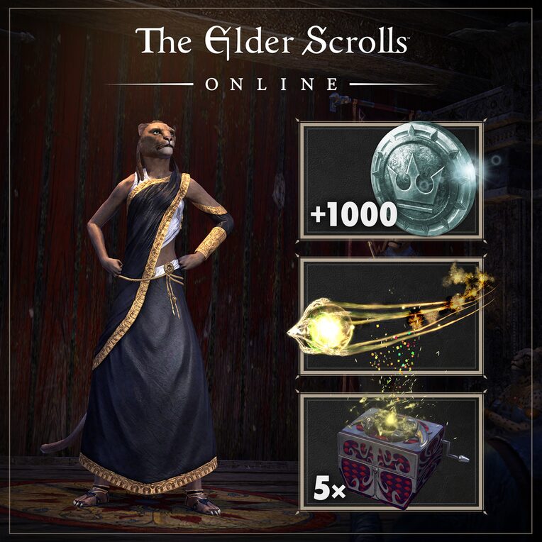 10-Year Anniversary Pack