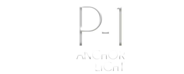 P1: Anchor Light