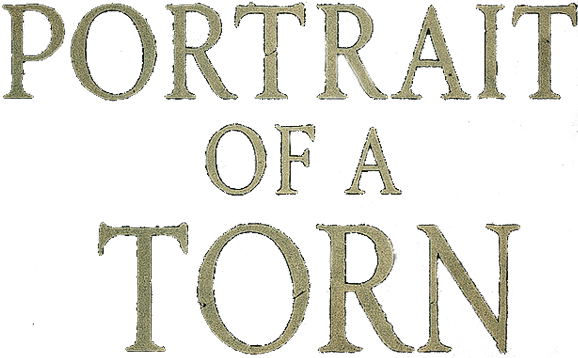 Portrait of a Torn