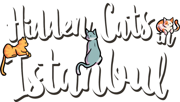 Hidden Cats in Istanbul