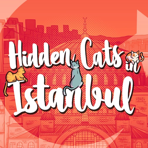 Hidden Cats in Istanbul