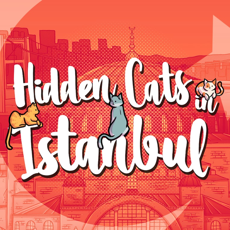 Hidden Cats in Istanbul