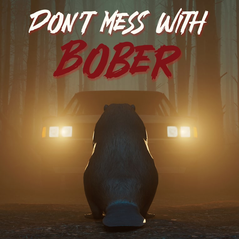 Don't Mess With Bober