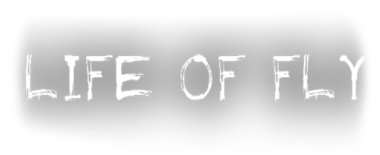 Life of Fly